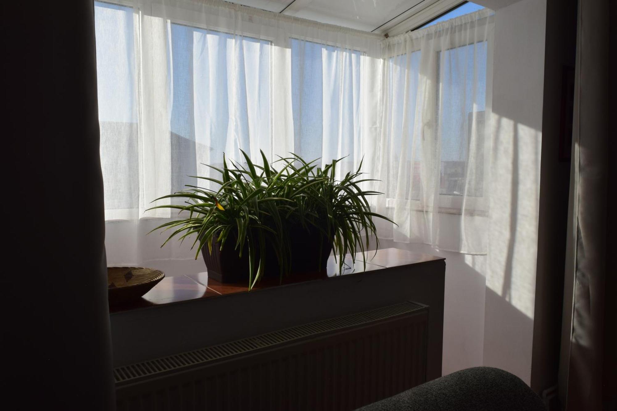 טימישוארה Apartament Simina מראה חיצוני תמונה